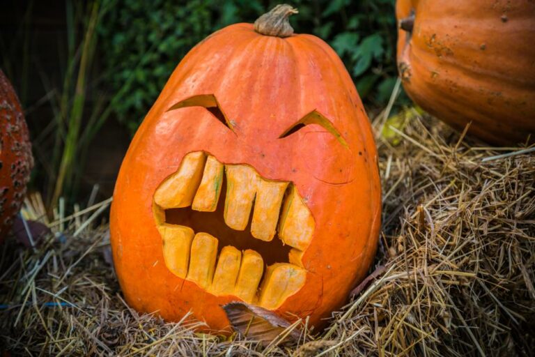 30 Pumpkin Carving Ideas - Pumpkin Designs to Try on Halloween