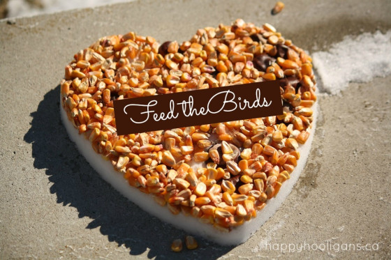 Diy heart birdfeeder diy