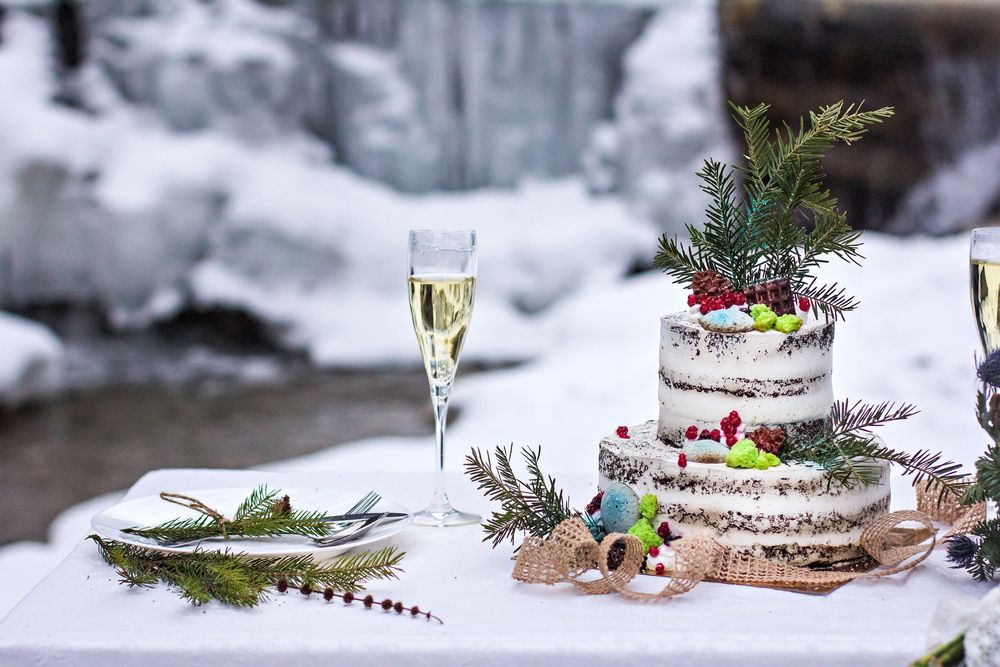 Christmas themed wedding birch cake