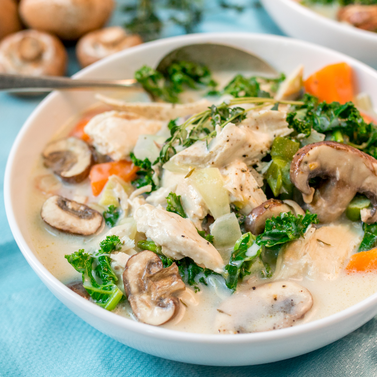 Creamy chicken and mushroom soup square