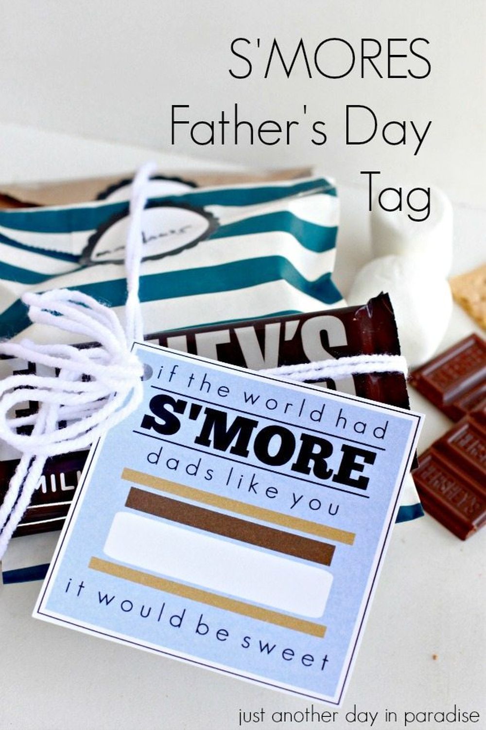 Diy s'mores kit cool christmas gifts for dad