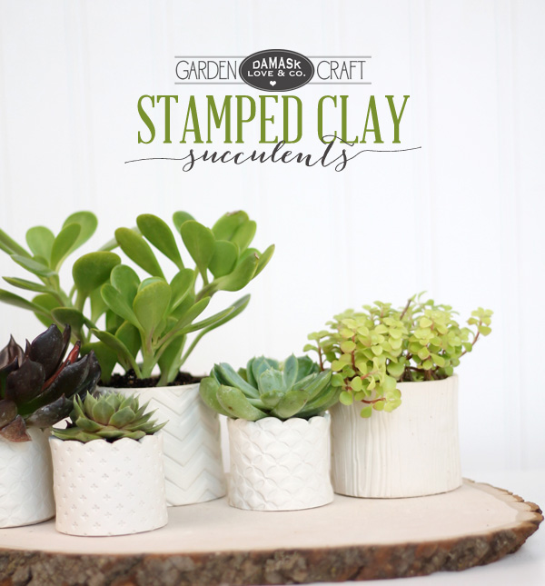 Diy stamped clay succulent pots