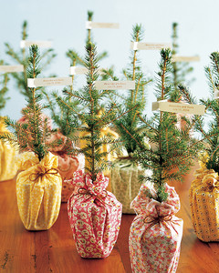 Trees To Go - Christmas Wedding Idea