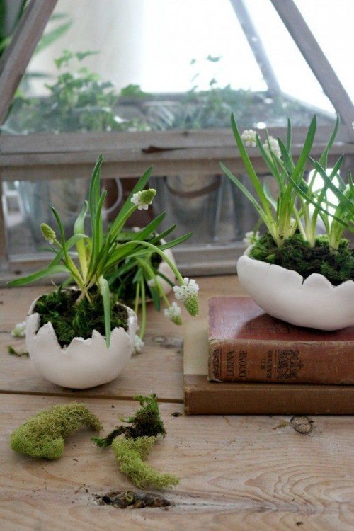 Diy easter egg planters