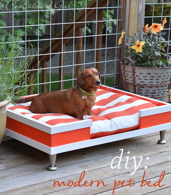Diy modern pet bed