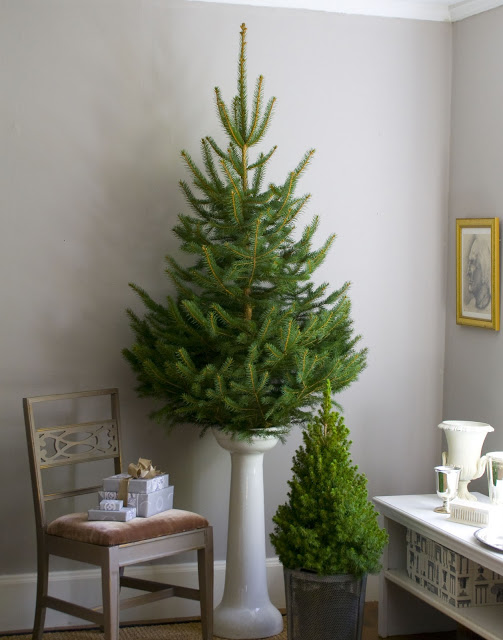 Modern Vase - Christmas Tree Stand
