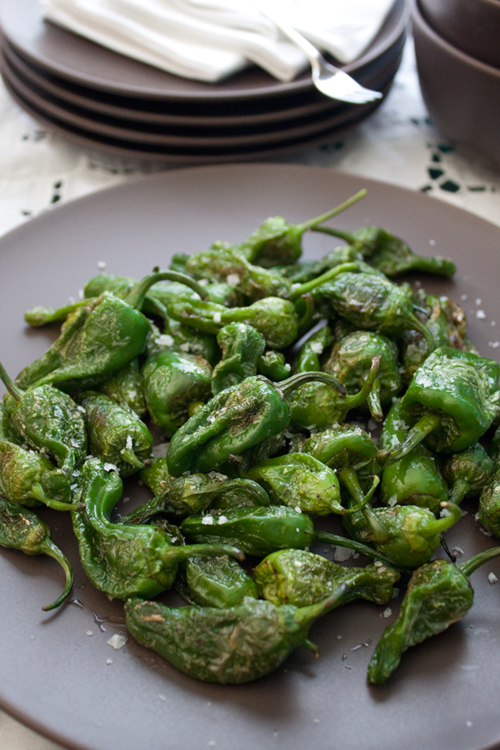 Padron peppers tapas recipe