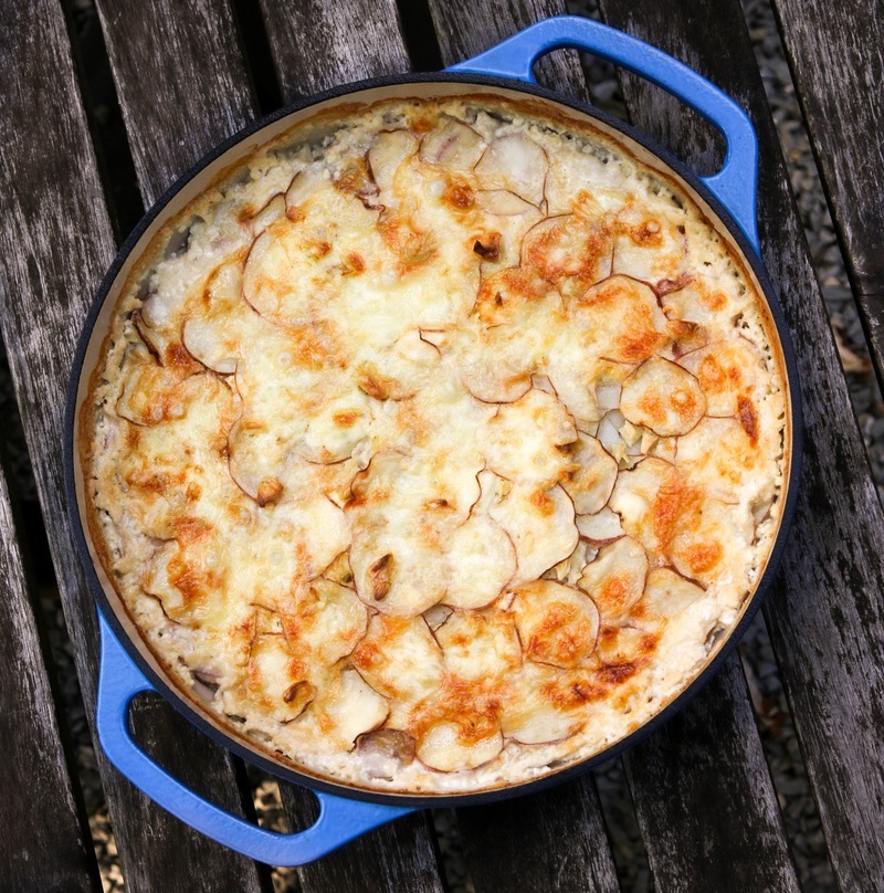 Potato goat cheese gratin