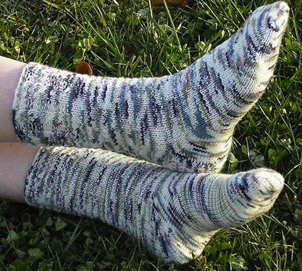 Birch trunks in winter socks