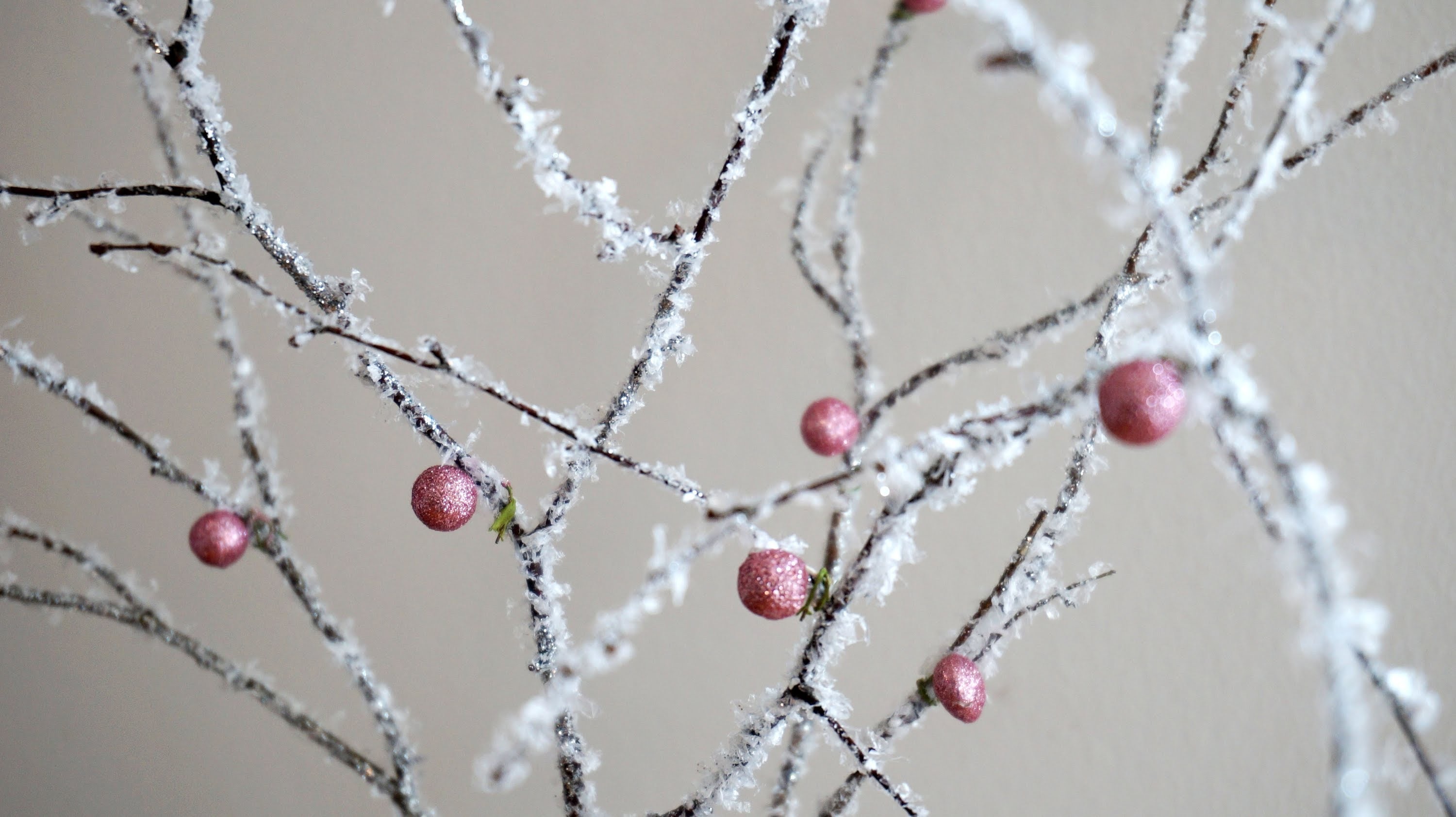 Frosted tree branches