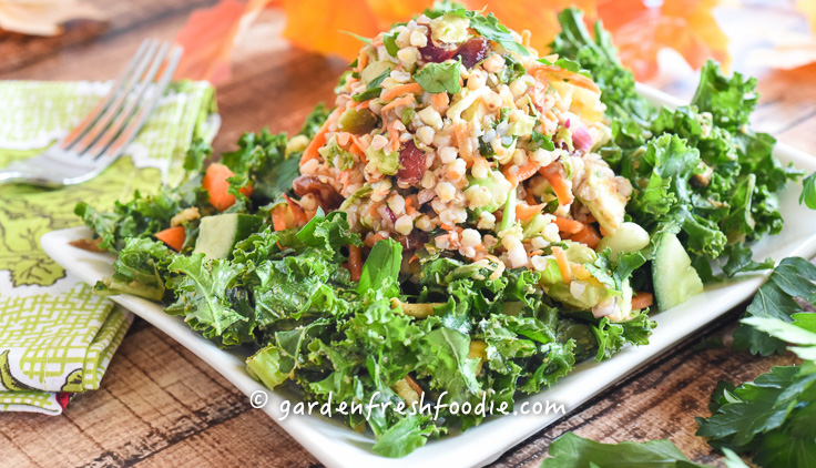 Harvest buckwheat salad apple cider dressing