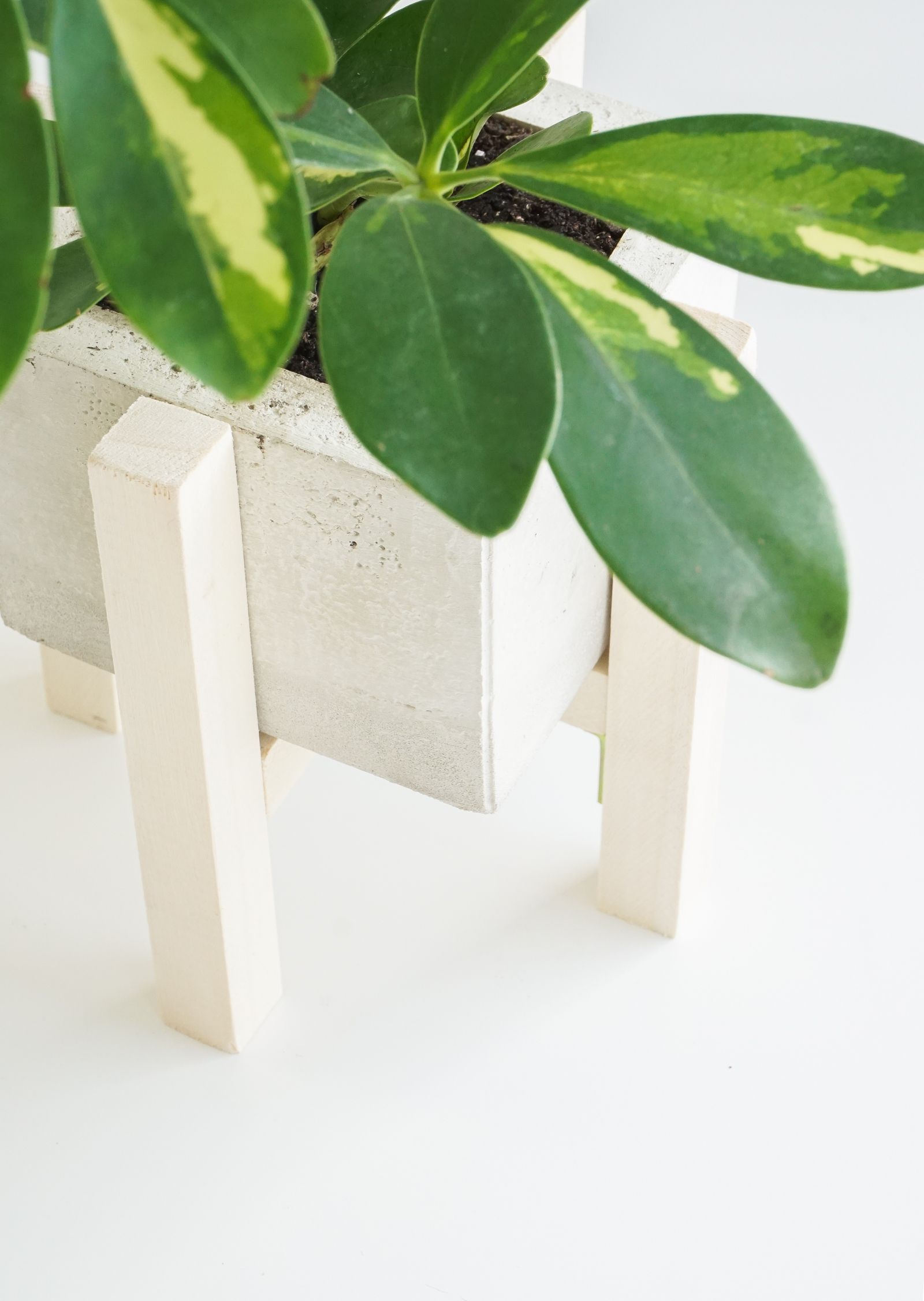 Concrete and wood planter