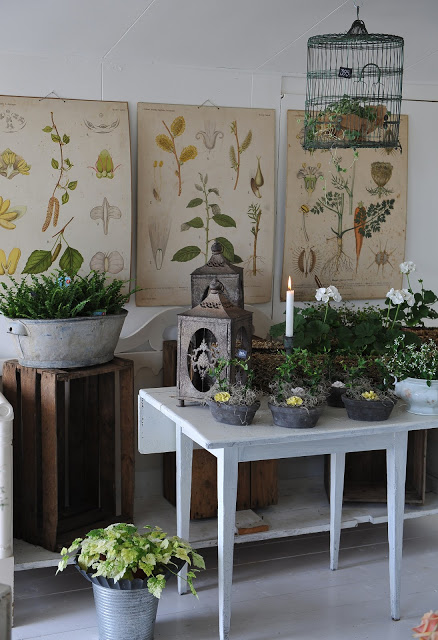 Plants and art botanical vignette