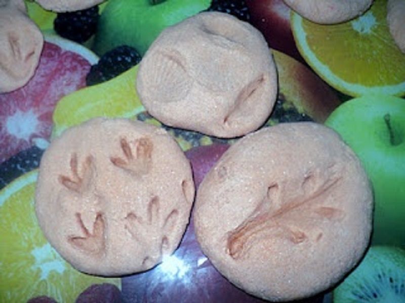Salt dough fossils