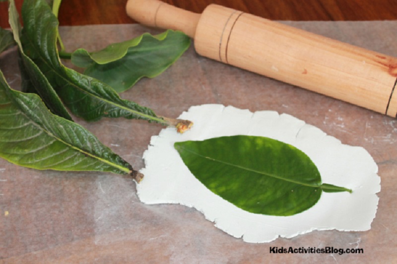 Salt dough leaf imprinting