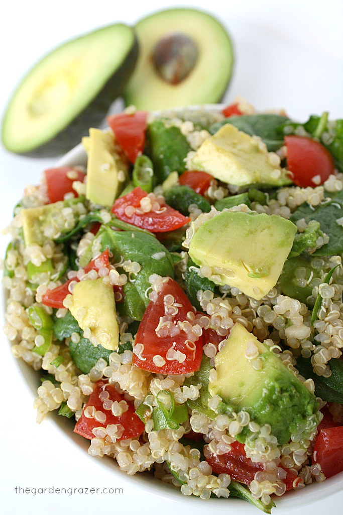 Quinoa avocado spinach power salad