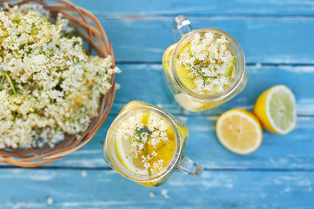 Elderflower Lemonade - Floral Flavors