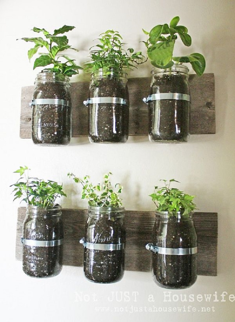 Mason jar wall planter