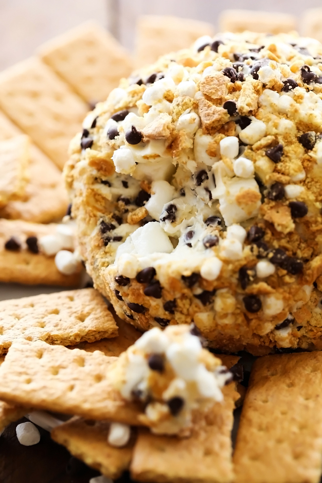 Smore cheese ball