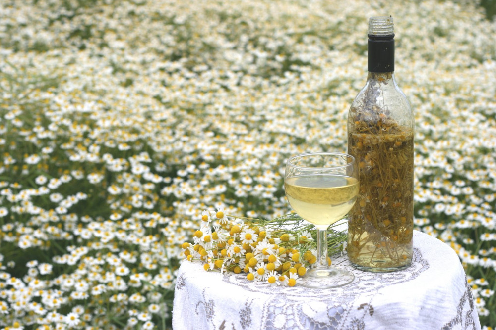 Chamomile Wine - Flower Drinks