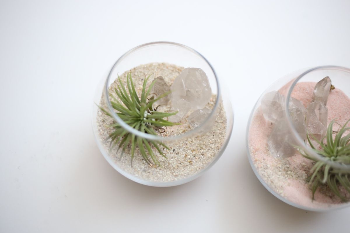 Diy crystal quartz planter succulent plants