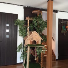 Cat treehouse with a hammock