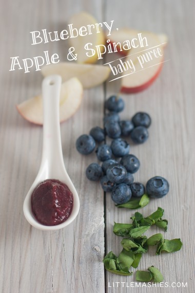 Blueberry apple spinach home made baby food puree small