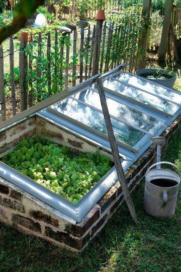 Mini greenhouse made from old windows