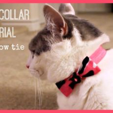 Bow tie cat collar
