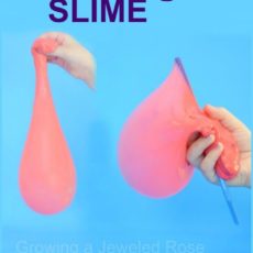 Bubble gum slime