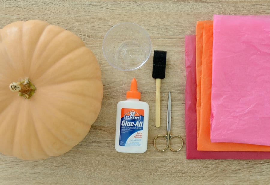 Diy tissue paper leaf pumpkin materials