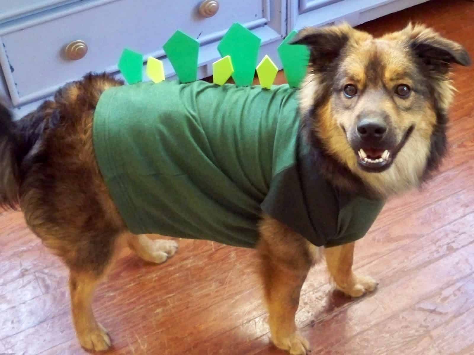Doggie Dinosaur - DIY Dog Costume
