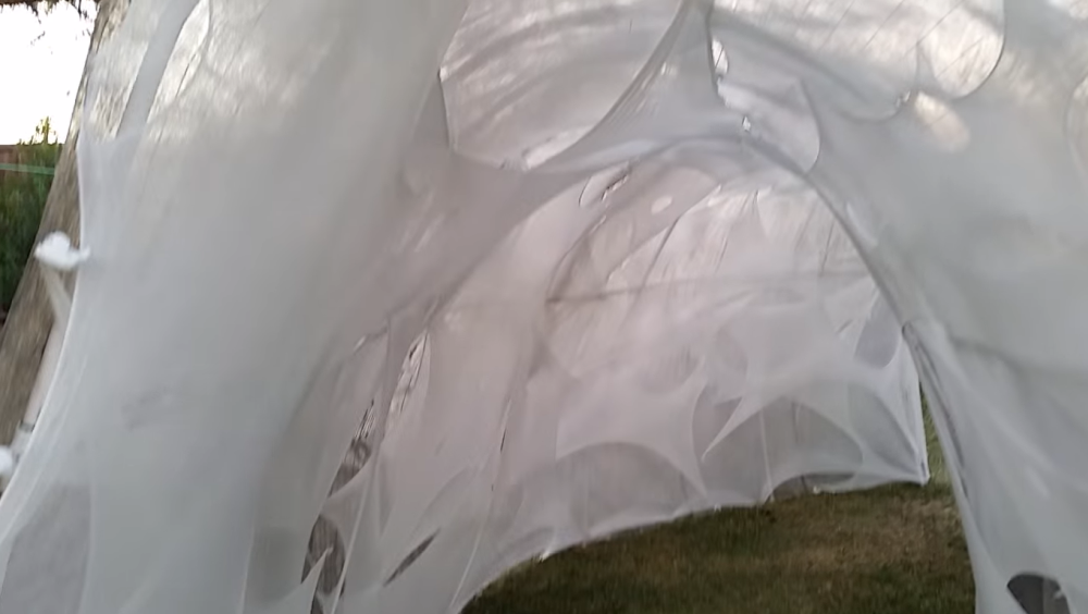 Funnel web spider web tunnel