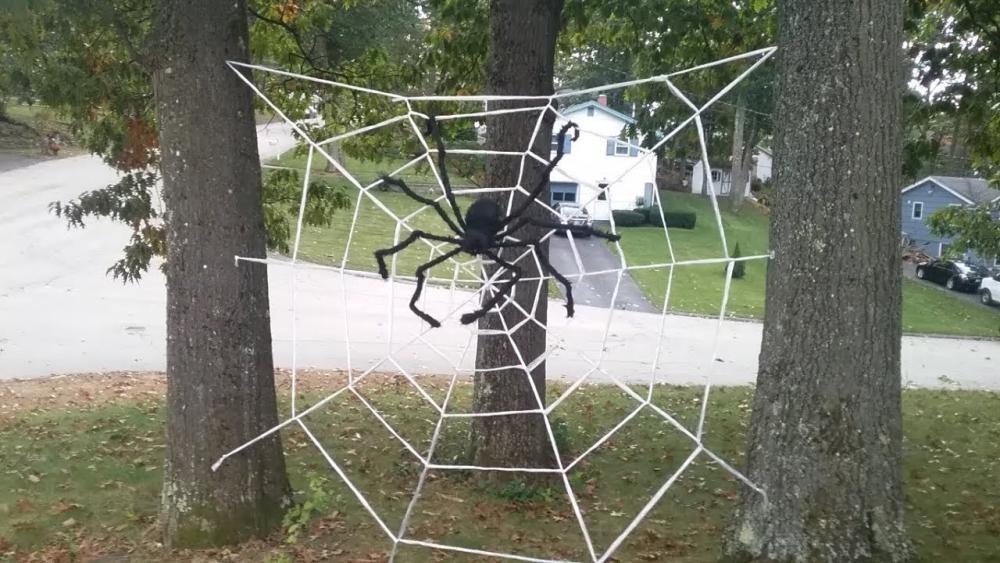 Giant yarn spider web 