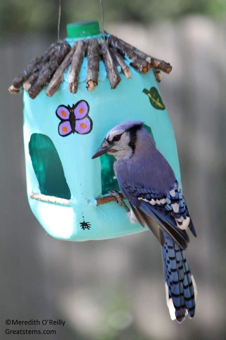 Milk jug bird feeder
