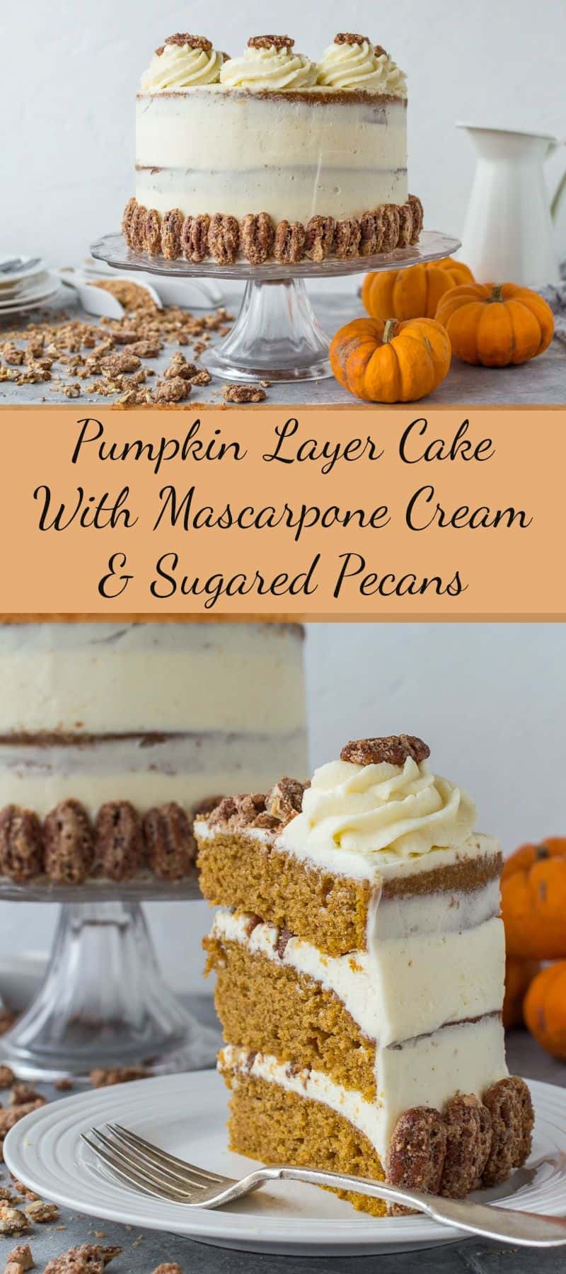 Pumpkin layer cake with mascarpone cream and sugared pecans feature