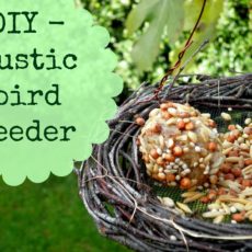 Rustic branch and mesh bird feeder