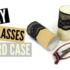 Toilet roll hard glasses case