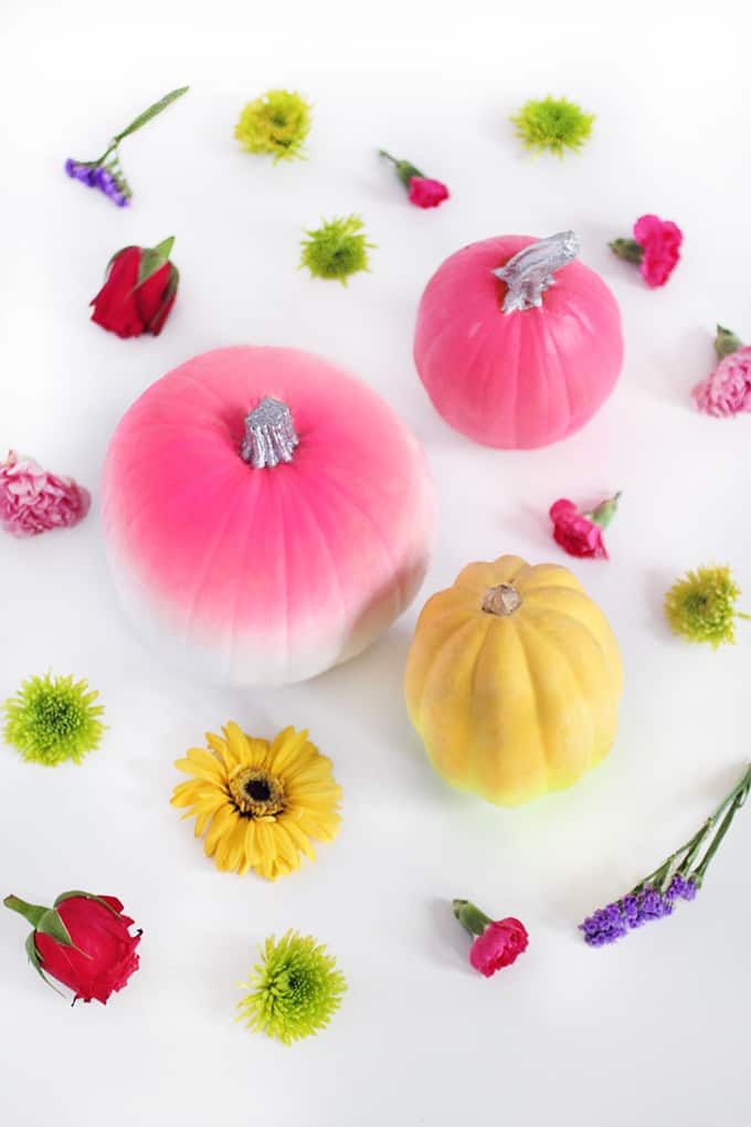 Diy ombre pumpkin