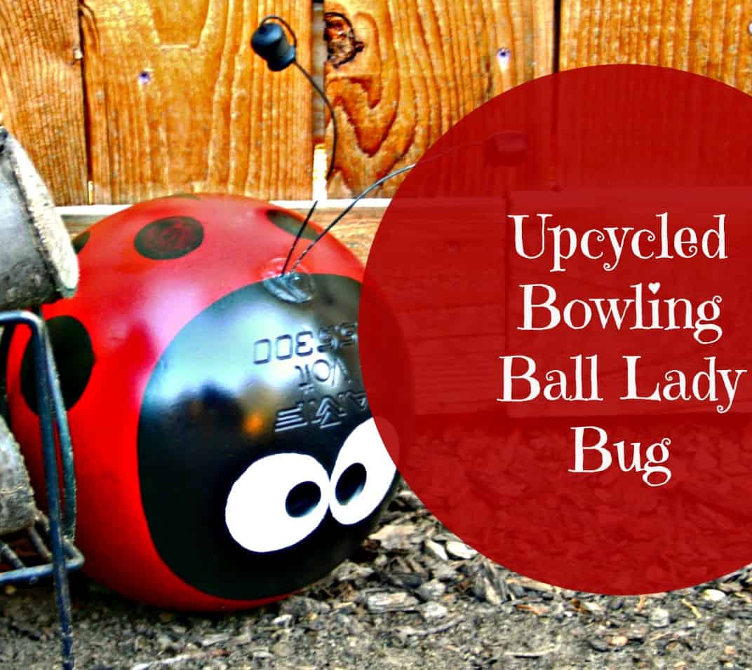 Bowling ball ladybug