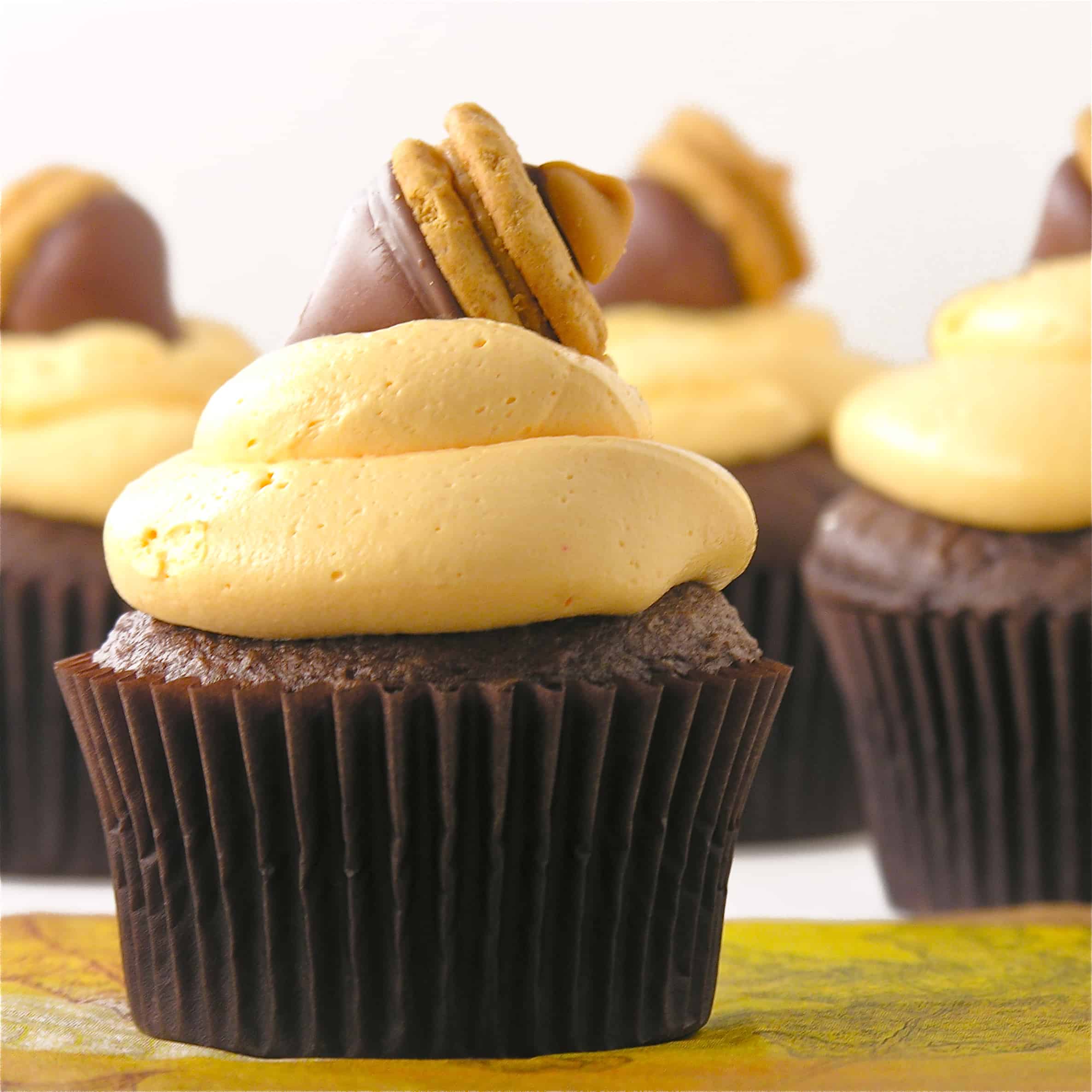 Chocolate fall acorn cupcakes