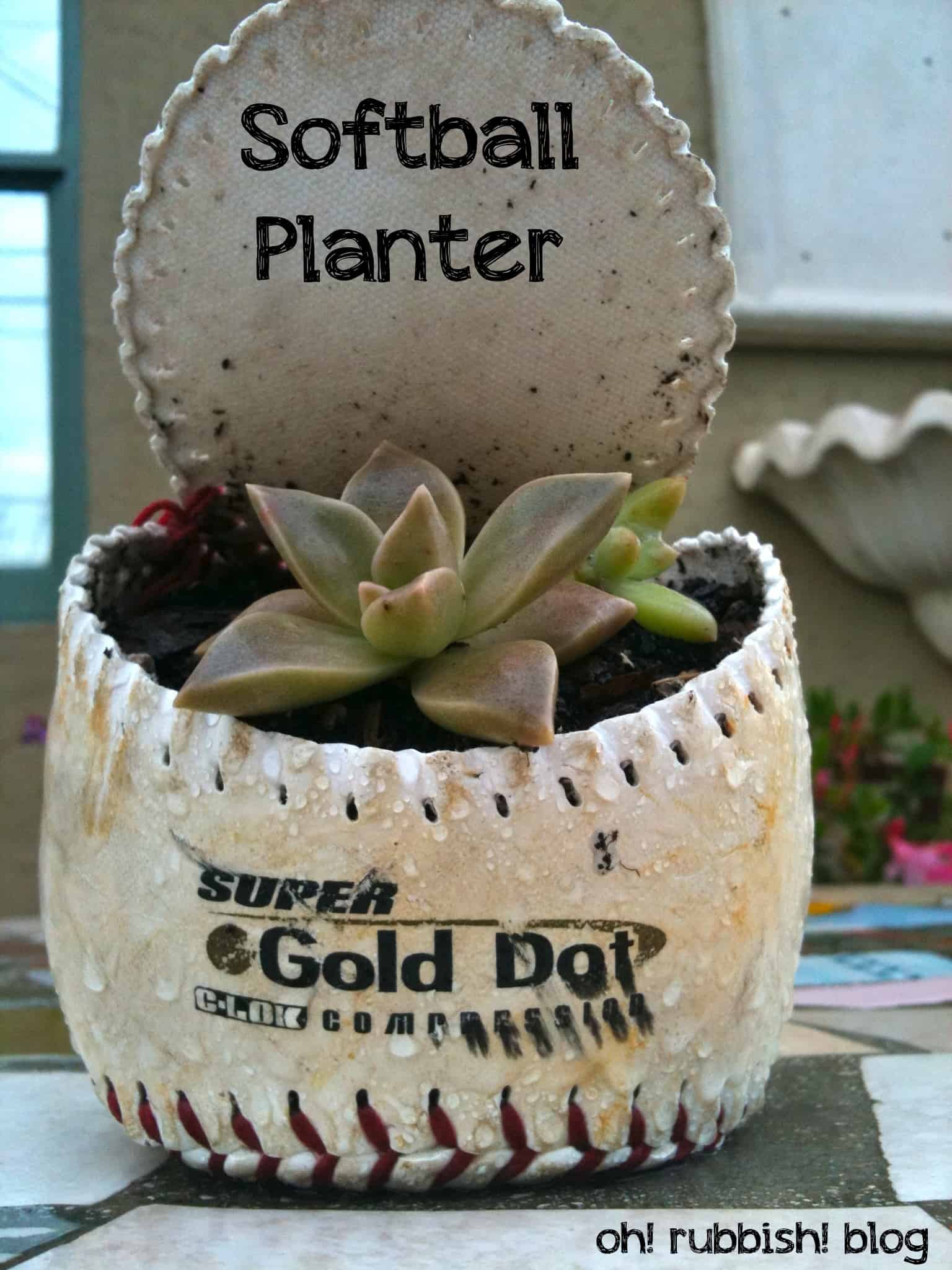 Diy softball succulent planter