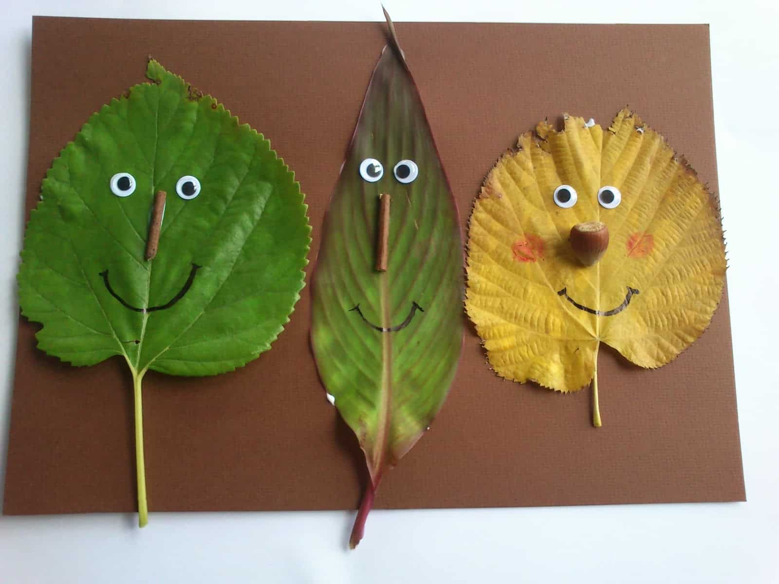 Funny face leaves