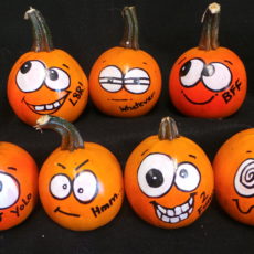 Funny face pumpkins