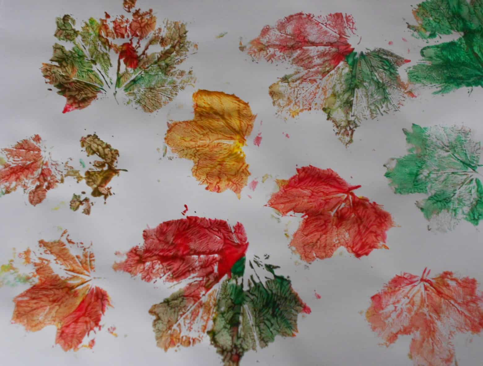 Painted leaf prints