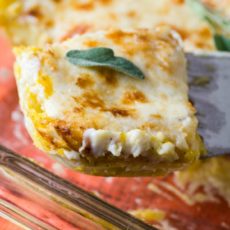 Sage havarti butternut squash lasagna