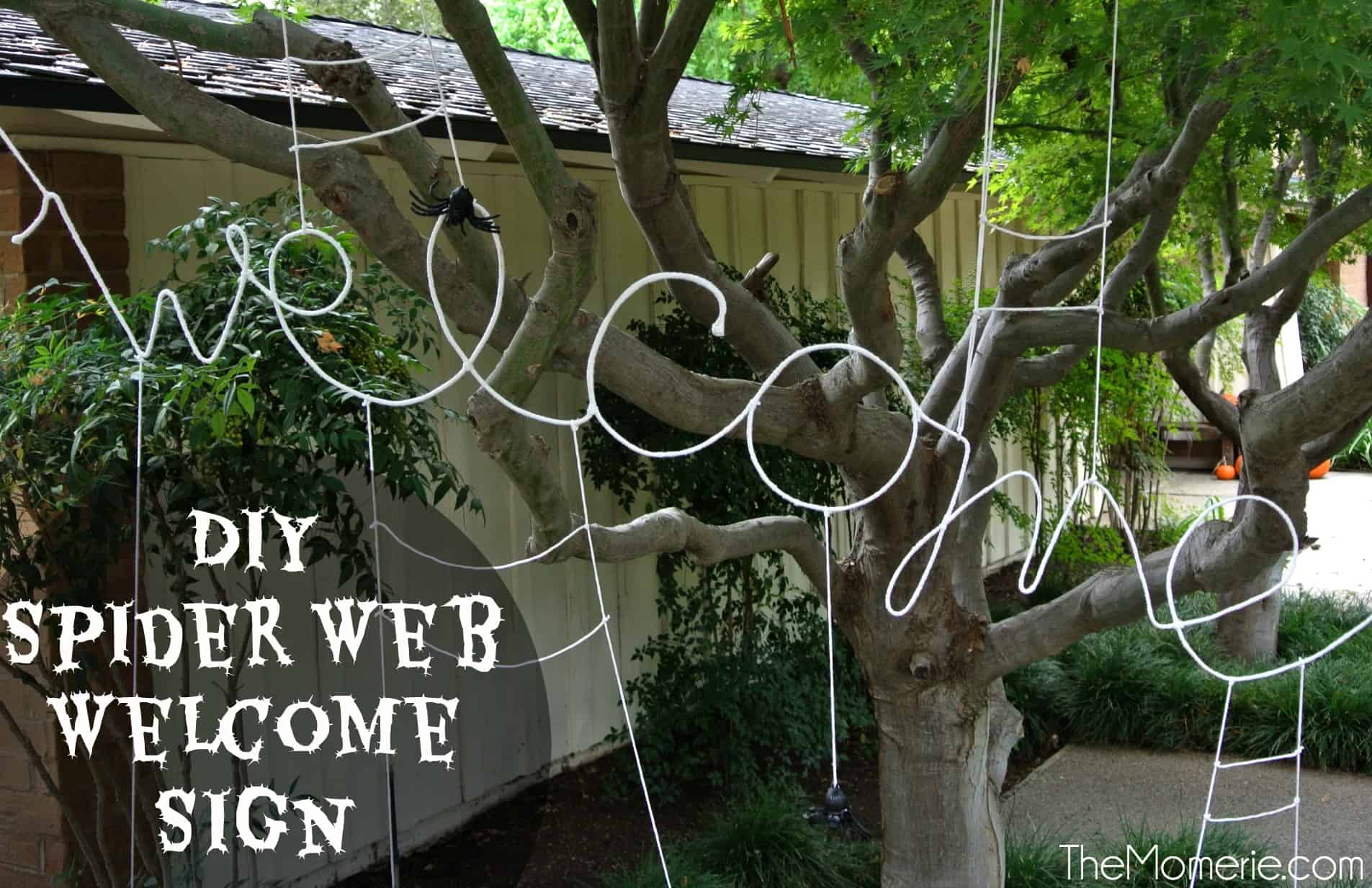 Spider web welcome sign