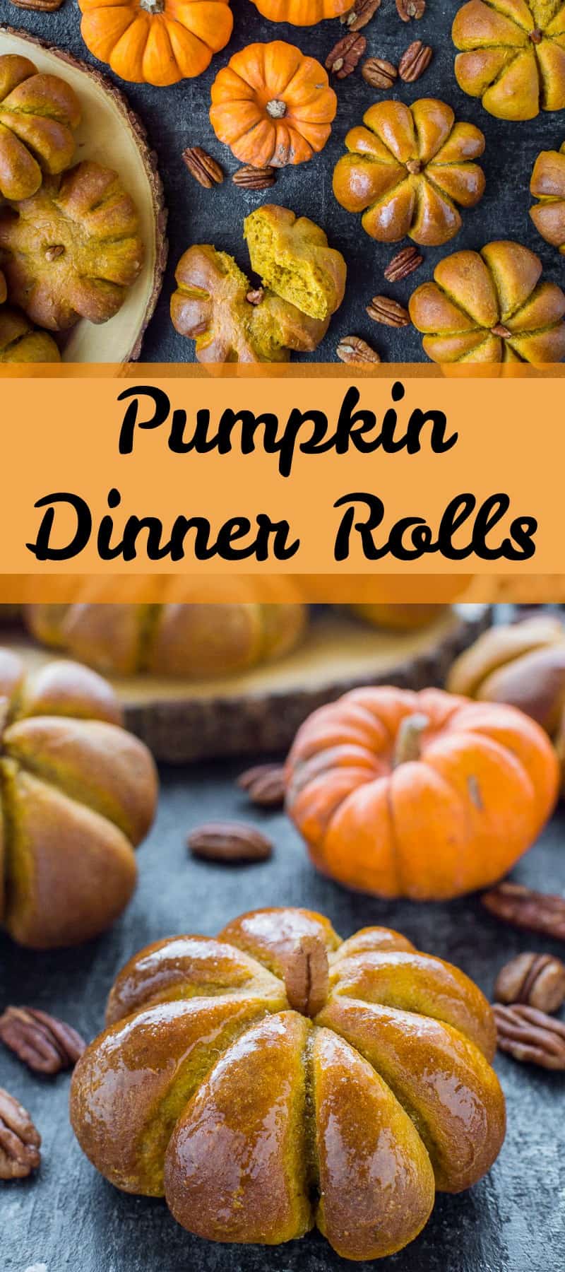 Thanksgiving pumpkin dinner rolls - serve these at your Thanksgiving celebration to really impress all your guests!