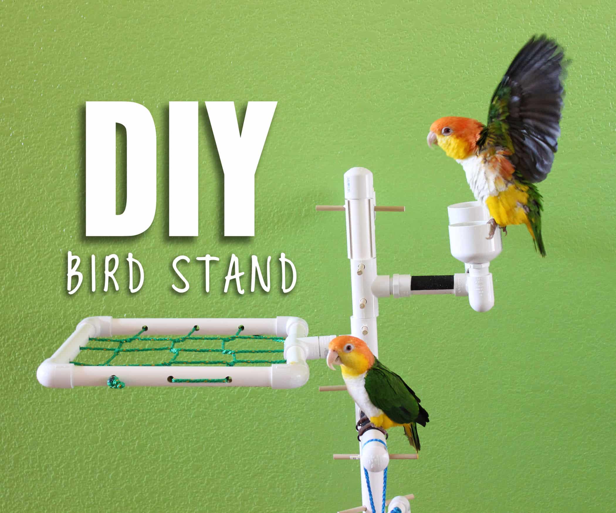 Diy pvc pipe bird stand