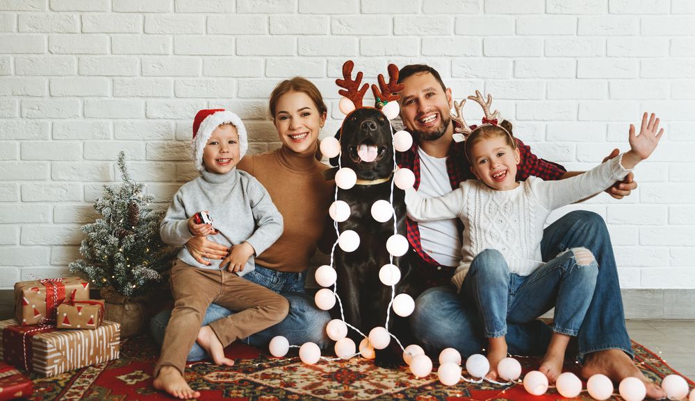 Family christmas picture ideas love the pet